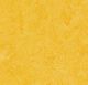marmoleum click lemon zest