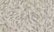 Velurtapet Moooi Extinct Animals MO2041 Smoke GA.
